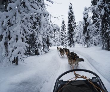 Big Sky Dog Sledding Big Sky Dog Sledding