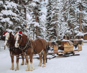 Big Sky Sleigh Rides Big Sky Sleigh Rides