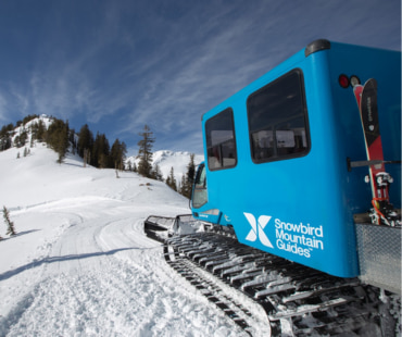 Snowcat Skiing at Snowbird