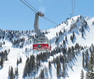 Snowbird Tram Rides