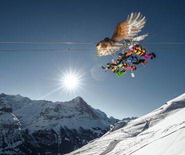 Gliding eagle with passengers through the sky Gliding eagle with passengers through the sky