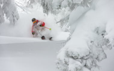 Powder Skiing at Shiga