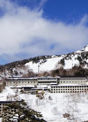 Manza Onsen Prince Hotel Manza Onsen Prince Hotel