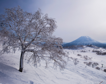 Ski Fields in Niseko with Mt Yotei in the Background Ski Fields in Niseko with Mt Yotei in the Background