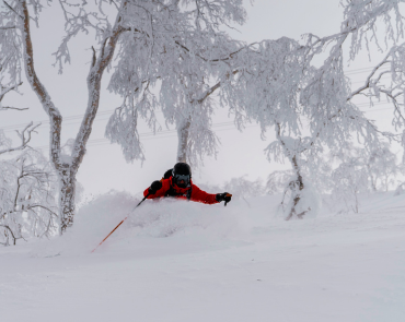 Skier in Hokkaido Skier in Hokkaido