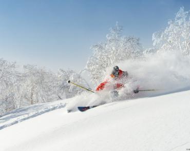 Skier at Niseko Skier at Niseko