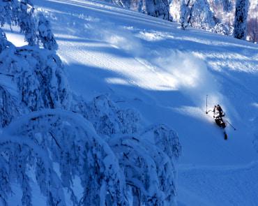 Skier at Rusutsu Skier at Rusutsu