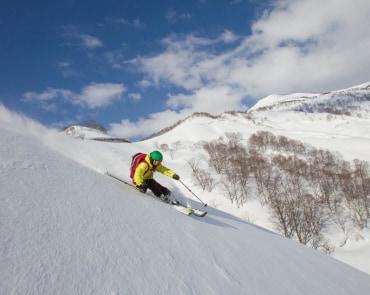 Lotte Arai Powder Skiing Lotte Arai Powder Skiing
