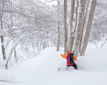 Madarao Backcountry Skiing Madarao Backcountry Skiing