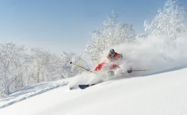 Skier in Powder Paradise