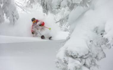 Powder Skiing at Shiga
