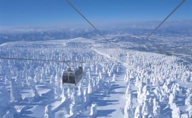 Snow Monsters at Zao