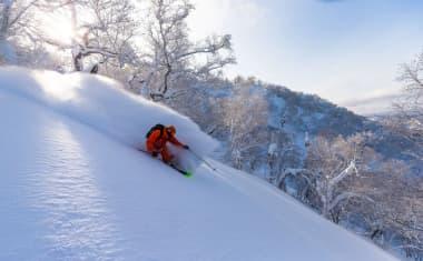 Furano Powder Skiing