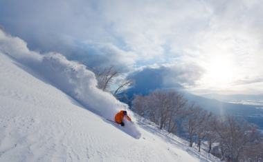 Niseko Powder SKiing